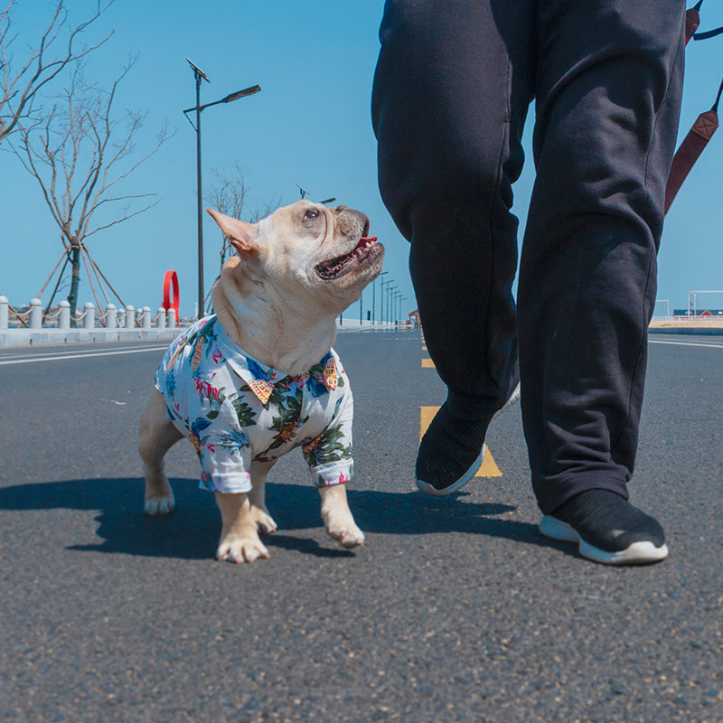 Frenchie hawaiian clearance shirt